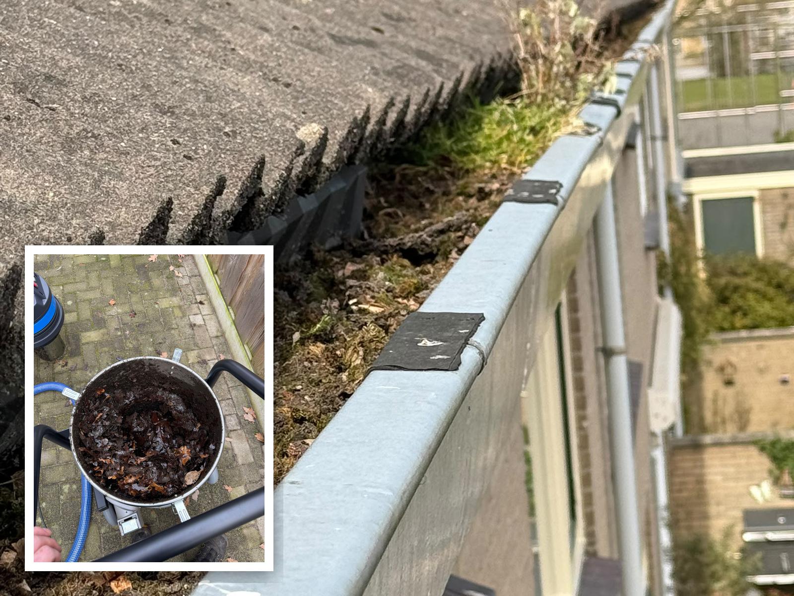 Verstopte dakgoot vol mos, blad en onkruid, en de opvangbak vol verwijderd bladafval na reiniging